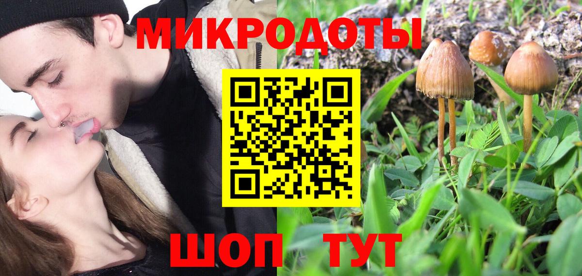 Галлюциногенные грибы мухоморы  Псилоцибиновые грибы Psilocybine cubensis  Вход с VPN  Осинники 